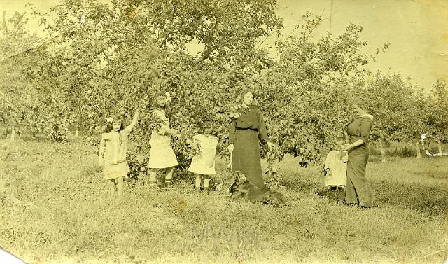KKE 750.jpg - W sadzie. Od prawej: pierwsza pani Kossarska z córką Łucją, 1913 r.